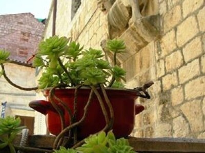 Nostalgično podsećanje