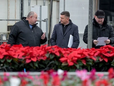 Šest mjeseci nakon katastrofalnog nevremena isplaćene naknade za štetu od tuče