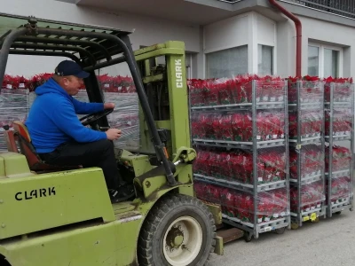 Šest mjeseci nakon katastrofalnog nevremena isplaćene naknade za štetu od tuče