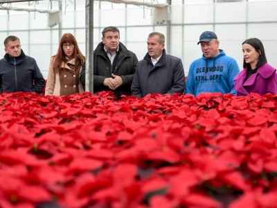 Šest mjeseci nakon katastrofalnog nevremena isplaćene naknade za štetu od tuče