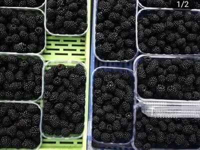 Sestre udruženim snagama uspešno proizvode i prerađuju voće