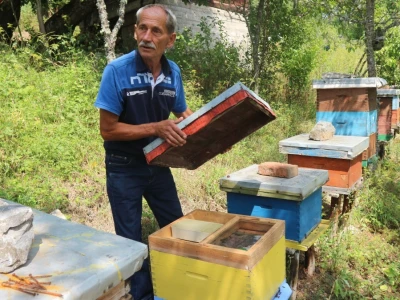 Ševket Ćivić u svom pčelnjaku