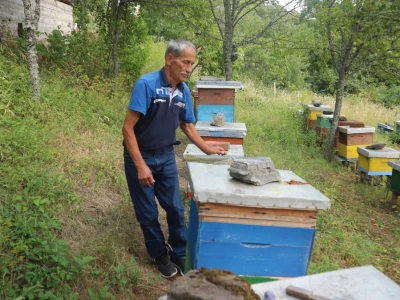 Ševket Ćivić u svom pčelnjaku