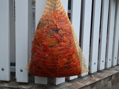 Sezona ajvara u toku-Načini spremanja ajvara