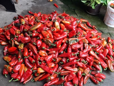 Sezona ajvara u toku-Načini spremanja ajvara