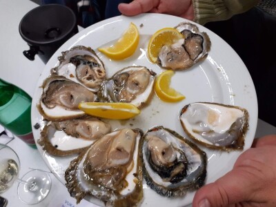 Sezona kamenica Sezona kamenica