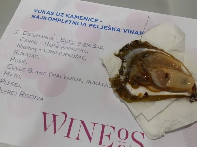 Sezona kamenica