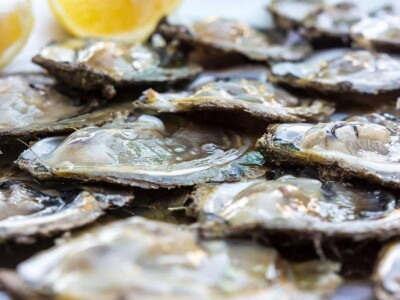 Sezona kamenica Sezona kamenica