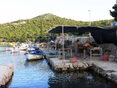 Sezona kamenica Sezona kamenica