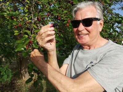 SEZONA MURAVA - Agronomi u "krađi" murava kod kuma Ante u Suhovarama