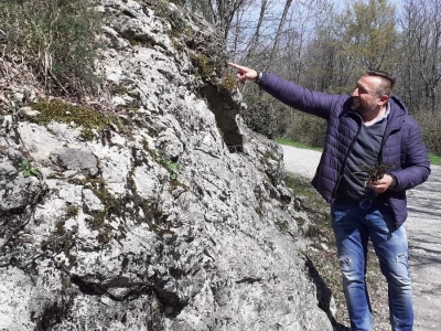 Sezona šparoga