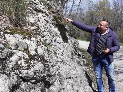 Sezona šparoga Sezona šparoga