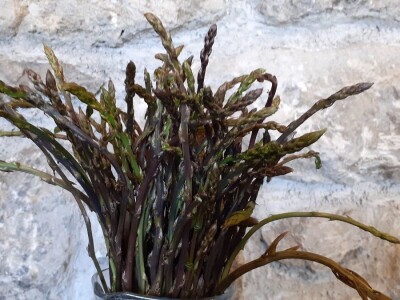 Sezona šparoga Sezona šparoga