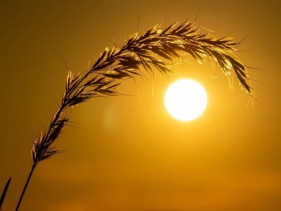 RuralFoto 2025 - TOP 10 fotografija u kategoriji #Proizvodnja