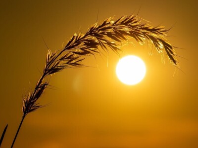 RuralFoto 2025 - TOP 10 fotografija u kategoriji #Proizvodnja