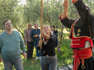 Dani berbe maslina u Hercegovini
