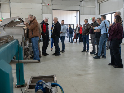 Dani berbe maslina u Hercegovini