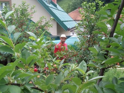 Tradicionalni sokovi Salkića Tradicionalni sokovi Salkića