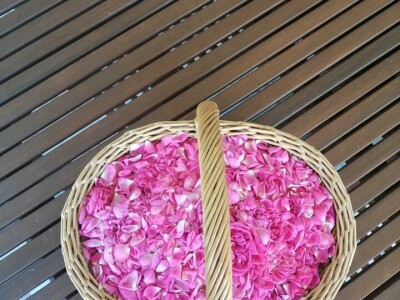 Tradicionalni sokovi Salkića Tradicionalni sokovi Salkića