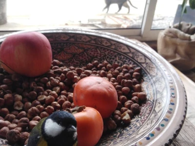 Shumska farma