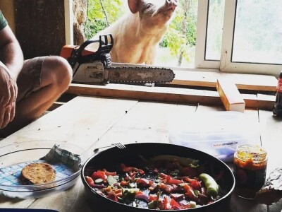 Shumska farma Nikole Borića