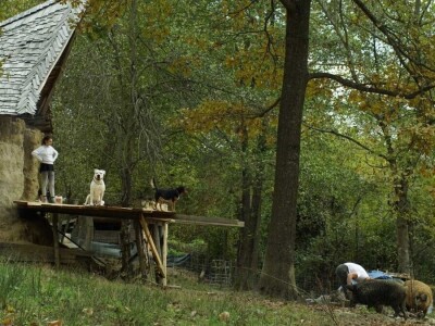 Shumska farma Nikole Borića