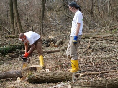 Shumska farma Nikole Borića