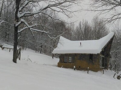 Shumska farma Nikole Borića