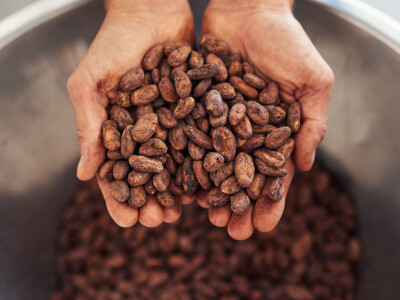 Iz Osijeka stiže čokolada nove generacije