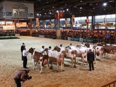 Sia Pariz 2014. Sia Pariz 2014.