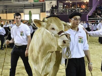 Sia Pariz 2014. Sia Pariz 2014.