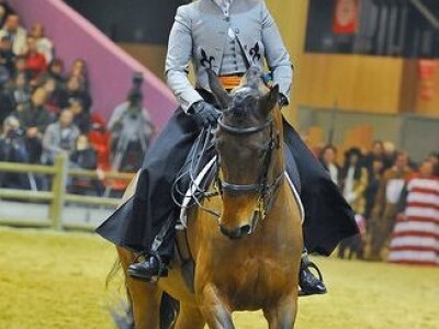 Sia Pariz 2014. Sia Pariz 2014.