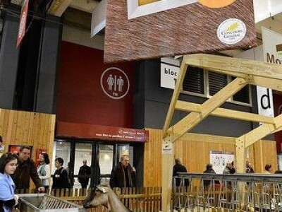 Sia Pariz 2014. Sia Pariz 2014.