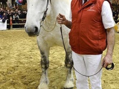 Sia Pariz 2014. Sia Pariz 2014.