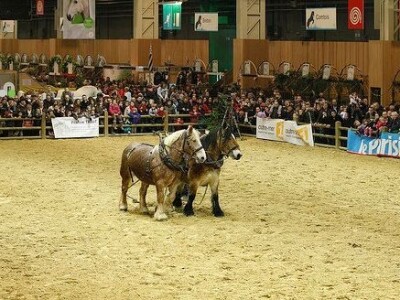 Sia Pariz 2014. Sia Pariz 2014.