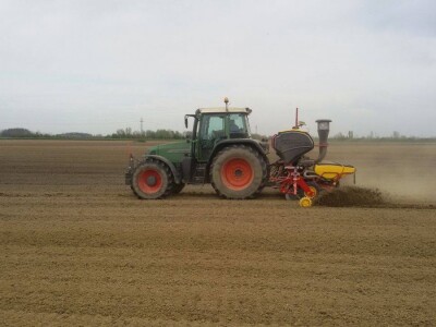 Sjetva šećerne repe Tempo sijačicom