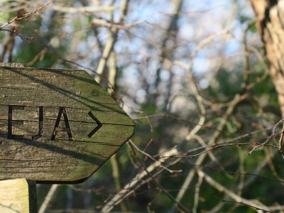 Šijanska šuma Pula