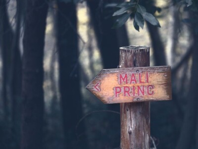 Šijanska šuma Pula