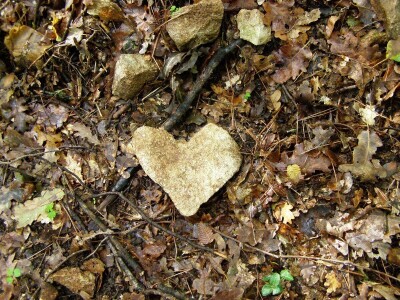 Šijanska šuma Pula