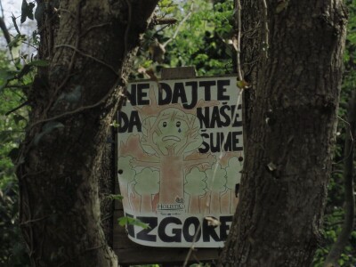 Šijanska šuma Pula