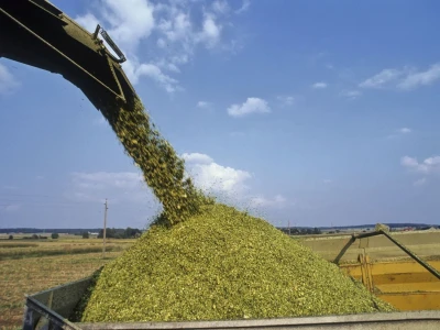 Silaža
