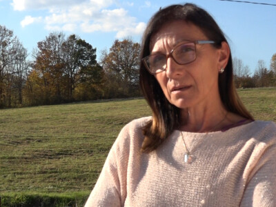 Silaža i berba kukuruza