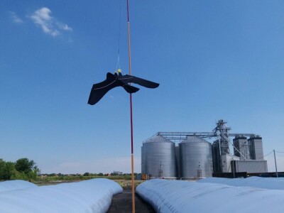 Sa terena - SCARYBIRD razno