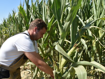 Silosi za  žitarice - Alen Beno Vardarac