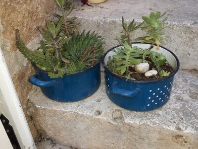 foto Silvana Munivrana Hvar