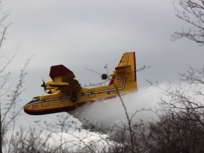 Silvanus: Demonstrirano gašenje šumskog požara Silvanus: Demonstrirano gašenje šumskog požara