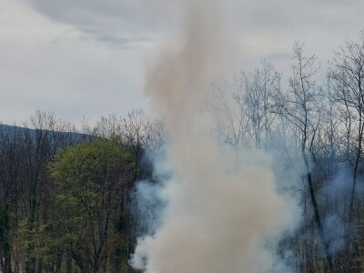 Silvanus: Demonstrirano gašenje šumskog požara Silvanus: Demonstrirano gašenje šumskog požara