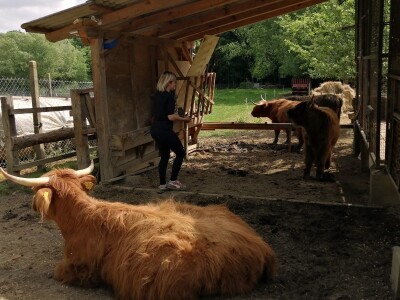 Silvija Mekota uzgaja škotsko visinsko govedo i crne slavonske svinje Silvija Mekota uzgaja škotsko visinsko govedo i crne slavonske svinje