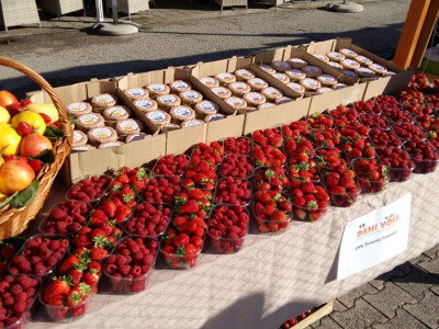 Često su nagrađeni za lijepo uređene prodajne prostore