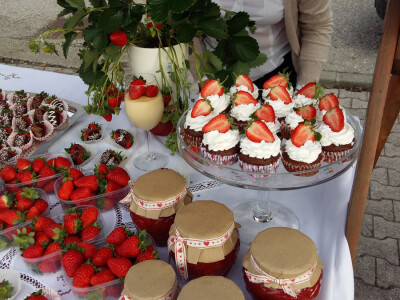 Pa sad ti probaj ne probati!